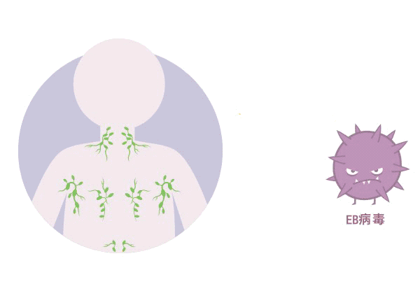 體檢查出“EB病毒”陽性！一定就是鼻咽癌嗎？