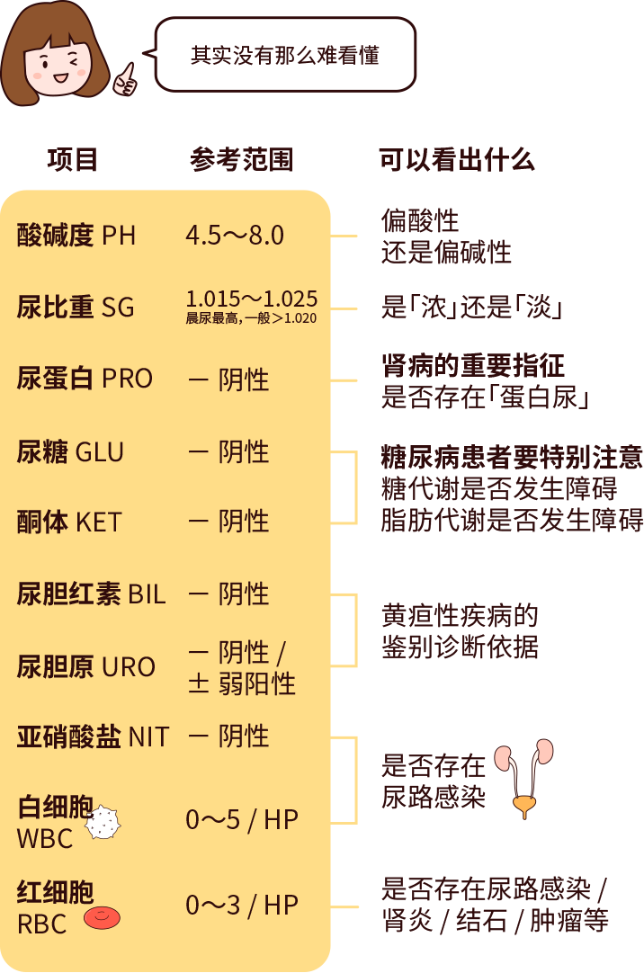 排尿黃、異味大，可能是身體在報警！