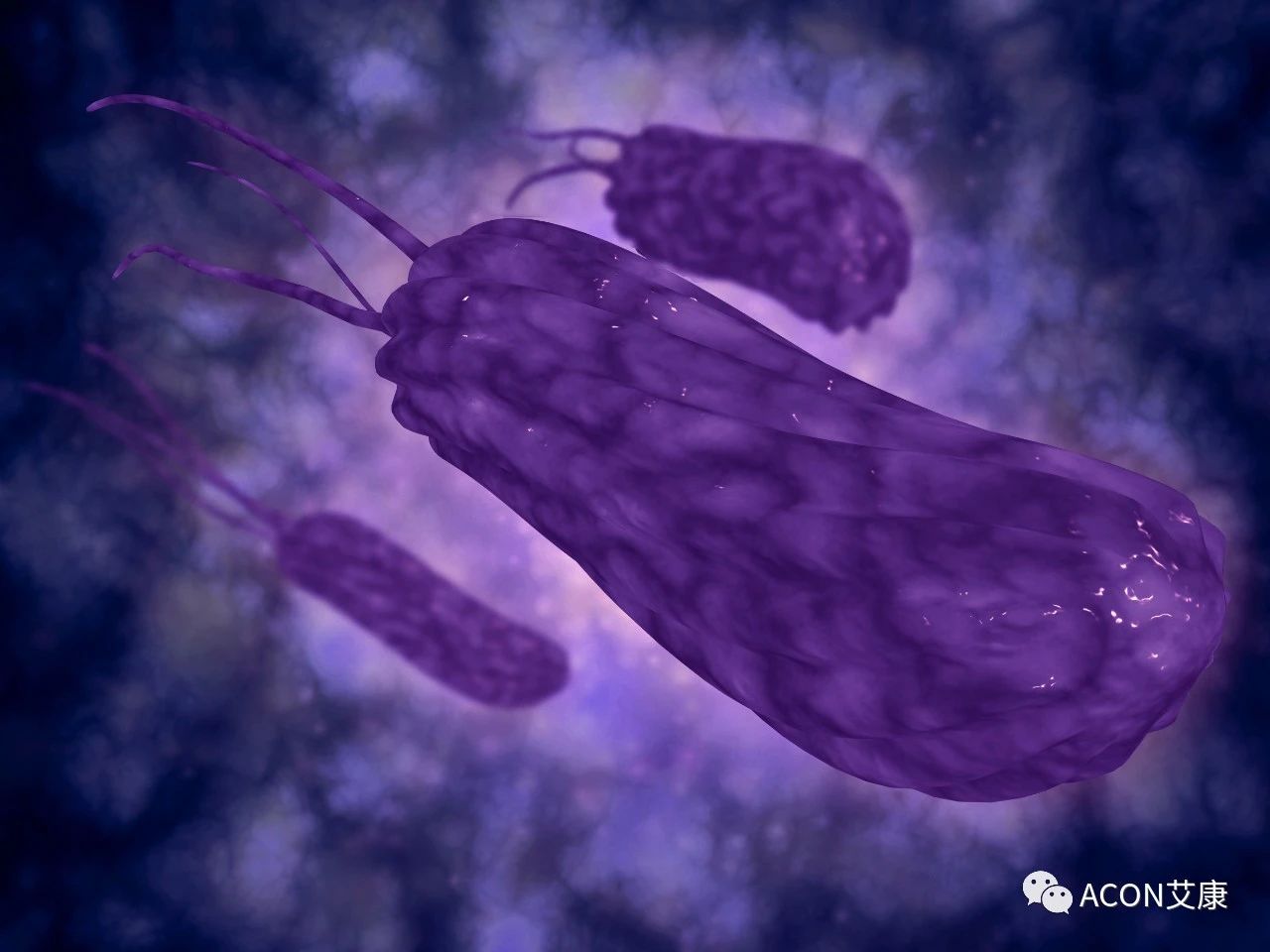 醫(yī)生總結(jié)了3位年輕胃癌患者的病例：30歲不到的他們到底干啥了？