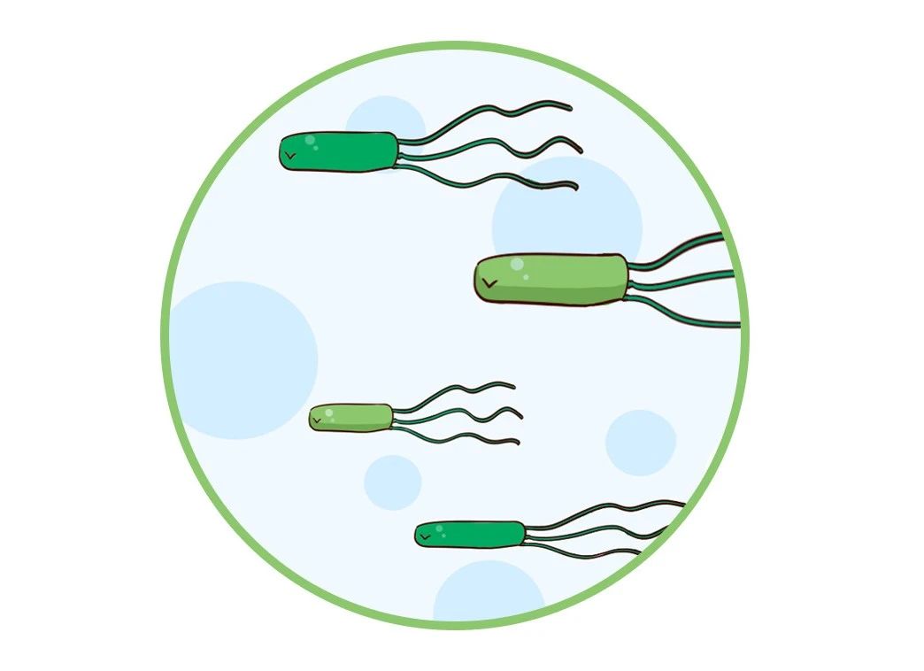 這種致癌物傳染性極強(qiáng)，50%中國人都有！很多人還不知道