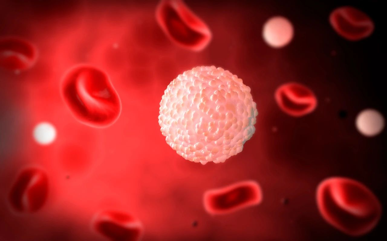 看不懂的血常規(guī)化驗(yàn)單，原來背后學(xué)問這么多