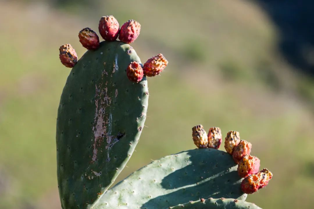 微信圖片_20211220093529.jpg 微信圖片_20211220093529.jpg