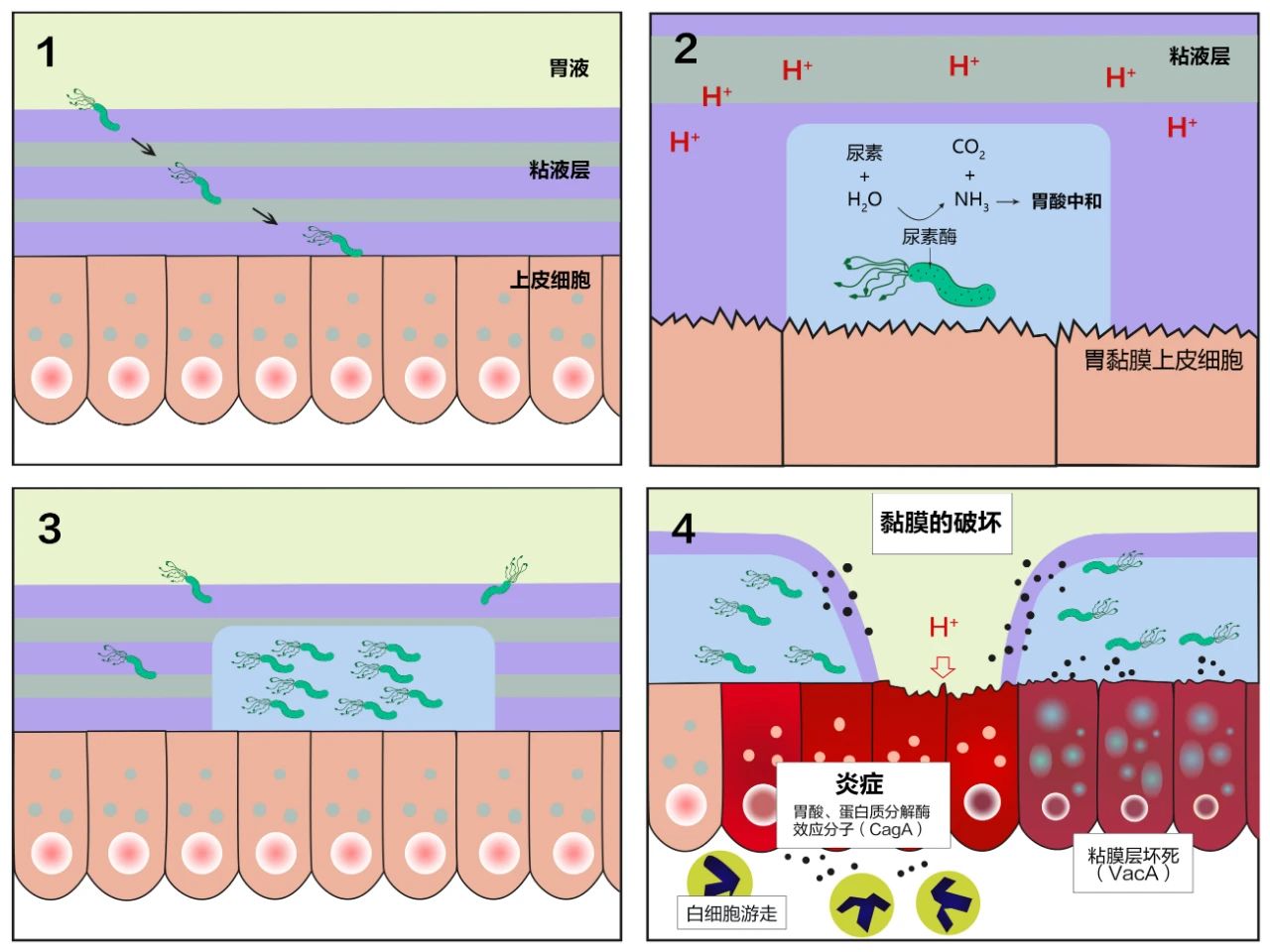微信圖片_20230414090848.jpg 微信圖片_20230414090848.jpg